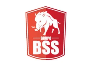 bss